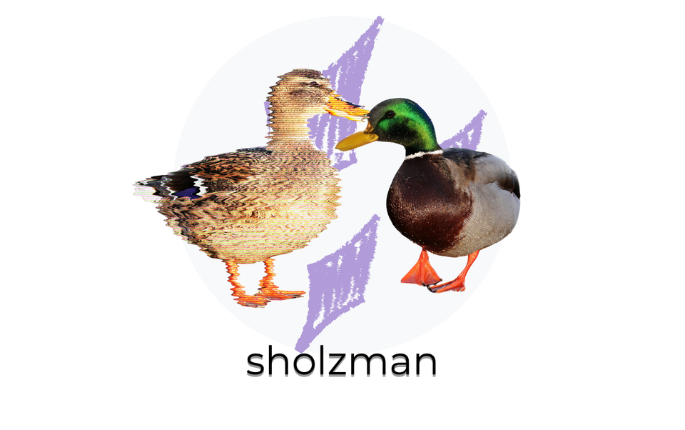 sholzman is live